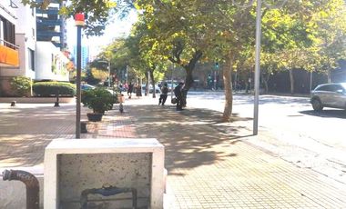 BOSQUE NORTE 0134