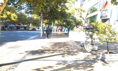 BOSQUE NORTE 0134
