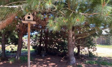 Arriendo cabaña Año Corrido en Condominio La Foresta