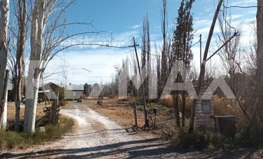 ALQUILER DE HECTÁREA - VISTA ALEGRE