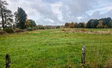Terreno 210,8 hectáreas - Río Negro