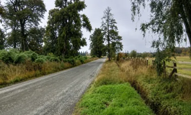 Terreno 210,8 hectáreas - Río Negro
