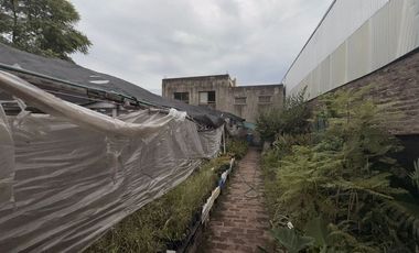 VENTA LOCAL SOBRE AVENIDA EN PALOMAR