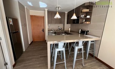 Departamento en Arriendo en Mirador de Phillipi