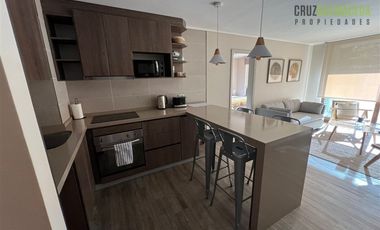 Departamento en Arriendo en Mirador de Phillipi