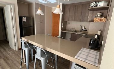 Departamento en Arriendo en Mirador de Phillipi