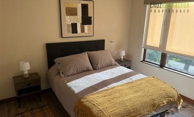 Departamento en Arriendo en Mirador de Phillipi