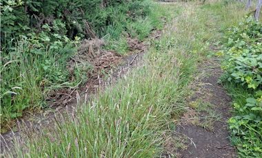 Terreno 5 Hectáreas en San Agustín, Puqueldón