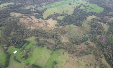 Campo de 92 hectáreas con alto potencial agrícola, ganadero y forestal en Purranque