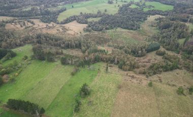 Campo de 92 hectáreas con alto potencial agrícola, ganadero y forestal en Purranque