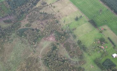 Campo de 92 hectáreas con alto potencial agrícola, ganadero y forestal en Purranque