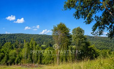 Campo de 92 hectáreas con alto potencial agrícola, ganadero y forestal en Purranque