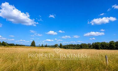 Campo de 92 hectáreas con alto potencial agrícola, ganadero y forestal en Purranque