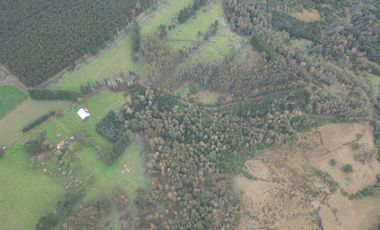 Campo de 92 hectáreas con alto potencial agrícola, ganadero y forestal en Purranque