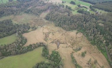 Campo de 92 hectáreas con alto potencial agrícola, ganadero y forestal en Purranque