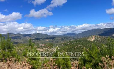 Loma de 15 ha con Bosque Nativo en Entorno Natural Único