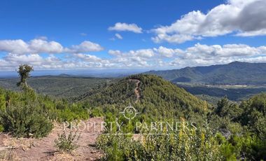 Loma de 15 ha con Bosque Nativo en Entorno Natural Único