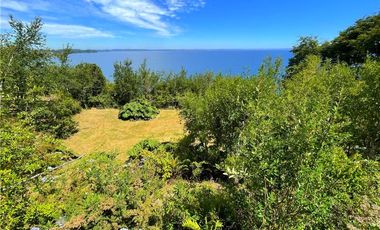 Orilla Lago, maravillosa vista!  2 casas, 5000 m2