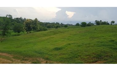 VENDE 96 HECTAREAS ENTRE MONTERIA Y PLANETA RICA