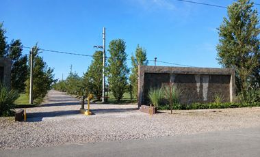 Venta | Canning | Terreno | Barrio Semi Cerrado Don Nino - Estilo Campo 250 mts2