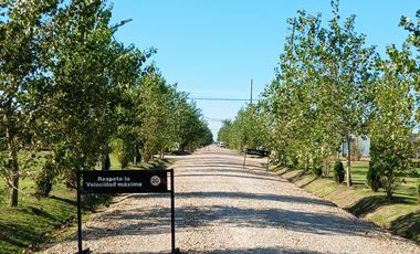 Venta | Canning | Terreno | Barrio Semi Cerrado Don Nino - Estilo Campo 250 mts2