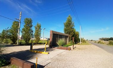Venta | Canning | Terreno | Barrio Semi Cerrado Don Nino - Estilo Campo 250 mts2