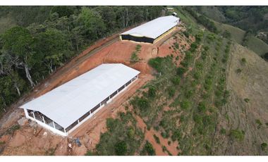 Finca Avícola Biosegura en Venta | Ebéjico Antioquia. 9 Hectáreas