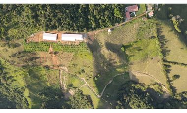 Finca Avícola Biosegura en Venta | Ebéjico Antioquia. 9 Hectáreas