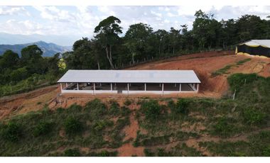 Finca Avícola Biosegura en Venta | Ebéjico Antioquia. 9 Hectáreas