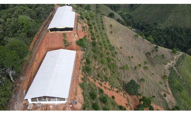 Finca Avícola Biosegura en Venta | Ebéjico Antioquia. 9 Hectáreas