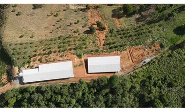 Finca Avícola Biosegura en Venta | Ebéjico Antioquia. 9 Hectáreas
