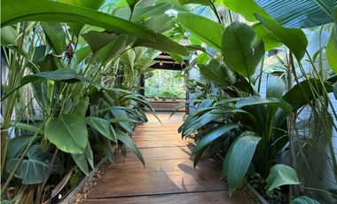 Venta De Finca En San Jeronimo