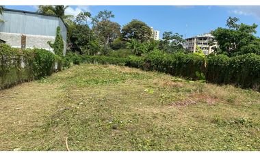 Lote en Parque Lefevre