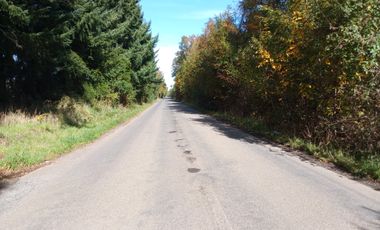 HERMOSAS PARCELAS PLANAS A 15 MINUTOS DE VILLARRICA