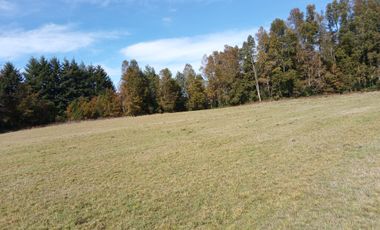 HERMOSAS PARCELAS PLANAS A 15 MINUTOS DE VILLARRICA