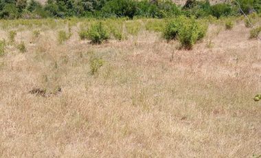 Parcela en venta  en LINARES