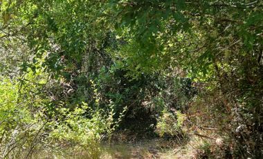 Parcela en venta  en LINARES