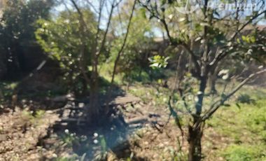 Casa en Venta en Negrete