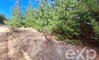 Terreno Construccion en Venta en Vende sitio L387 horizonte marino Alto Colorado
