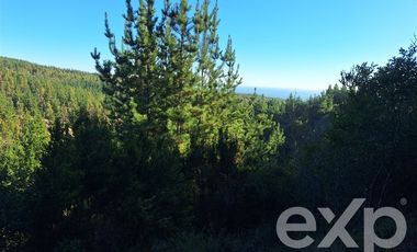 Terreno Construccion en Venta en Vende sitio L387 horizonte marino Alto Colorado