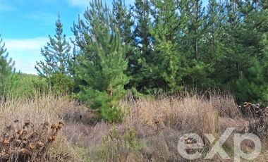 Terreno Construccion en Venta en Vende sitio L387 horizonte marino Alto Colorado