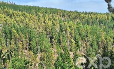 Terreno Construccion en Venta en Vende sitio L387 horizonte marino Alto Colorado
