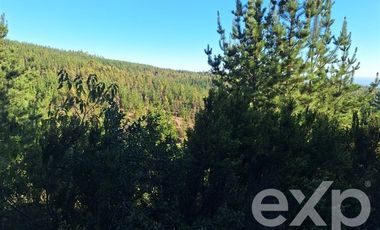 Terreno Construccion en Venta en Vende sitio L387 horizonte marino Alto Colorado