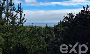 Terreno Construccion en Venta en Vende sitio L387 horizonte marino Alto Colorado