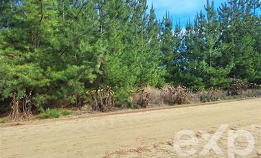 Terreno Construccion en Venta en Vende sitio L387 horizonte marino Alto Colorado