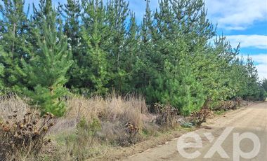 Terreno Construccion en Venta en Vende sitio L387 horizonte marino Alto Colorado