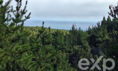 Terreno Construccion en Venta en Vende sitio L387 horizonte marino Alto Colorado