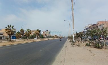 Terrenos Comerciales Venta AV. Canta Callao - SAN MARTIN DE PORRES