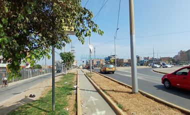 Terrenos Comerciales Venta AV. Canta Callao - SAN MARTIN DE PORRES