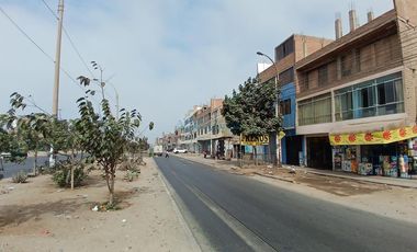 Terrenos Comerciales Venta AV. Canta Callao - SAN MARTIN DE PORRES